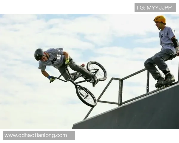 数据分析：深圳极限运动队的实力表现