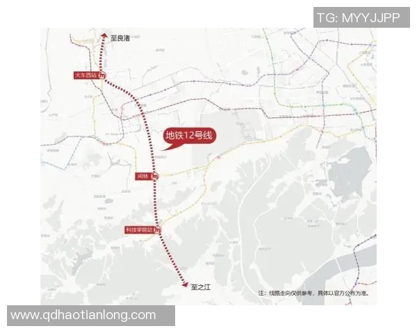 独家分析:广州篮球队的实力对比 独家分析:广州篮球队的实力对比